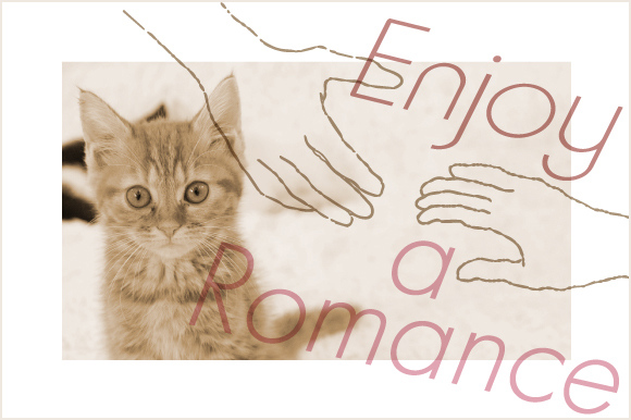 topimage_enjoyaromance_cat